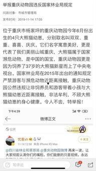 重庆城管局最新爆料,揭秘城市治理背后的故事